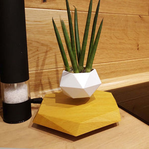 Magnetic Floating Flower Pot | Magnetic Flower Pot decor